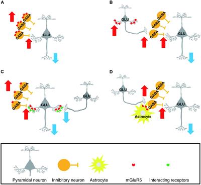 Metabotropic Glutamate Receptor 5 in the Medial Prefrontal Cortex as a Molecular Determinant of Pain and Ensuing Depression